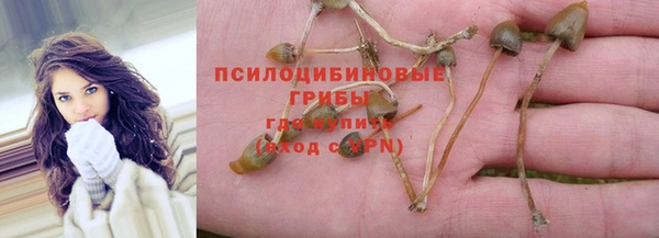 ПСИЛОЦИБИНОВЫЕ ГРИБЫ Богородицк