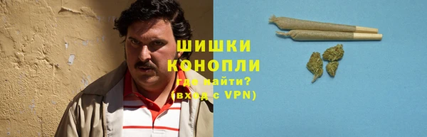 мяу мяу кристалл Богданович