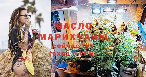 spice Богородск