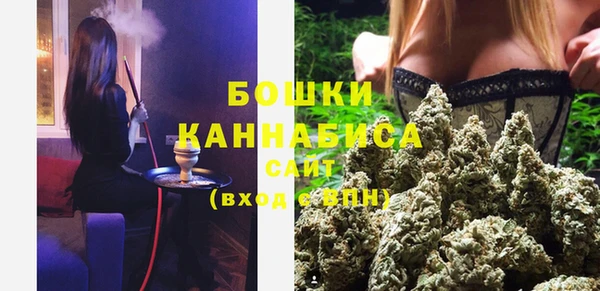 ПСИЛОЦИБИНОВЫЕ ГРИБЫ Богородицк