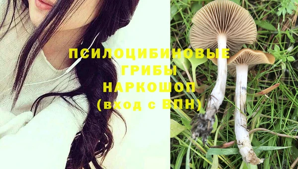 ПСИЛОЦИБИНОВЫЕ ГРИБЫ Богородицк