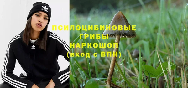 spice Богородск