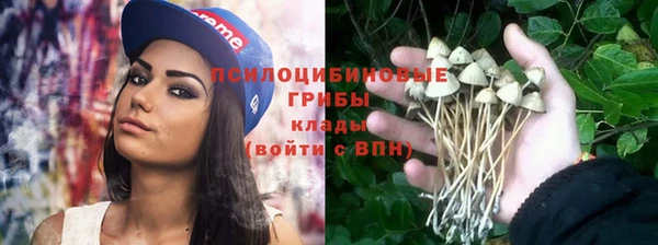 spice Богородск