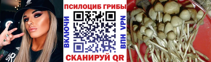 Псилоцибиновые грибы Psilocybine cubensis  даркнет сайт  Луховицы 